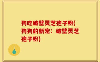 狗吃破壁灵芝孢子粉(狗狗的新宠：破壁灵芝孢子粉)