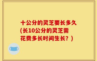 十公分的灵芝要长多久(长10公分的灵芝需花费多长时间生长？)