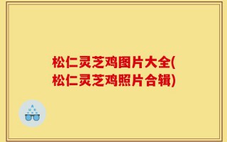 松仁灵芝鸡图片大全(松仁灵芝鸡照片合辑)