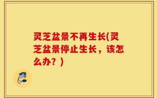 灵芝盆景不再生长(灵芝盆景停止生长，该怎么办？)