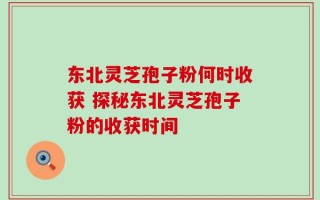 东北灵芝孢子粉何时收获 探秘东北灵芝孢子粉的收获时间