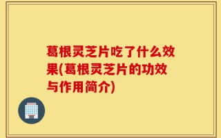 葛根灵芝片吃了什么效果(葛根灵芝片的功效与作用简介)