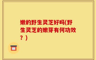 嫩的野生灵芝好吗(野生灵芝的嫩芽有何功效？)