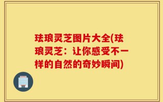 珐琅灵芝图片大全(珐琅灵芝：让你感受不一样的自然的奇妙瞬间)