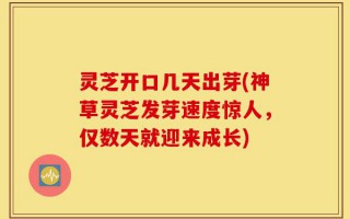 灵芝开口几天出芽(神草灵芝发芽速度惊人，仅数天就迎来成长)