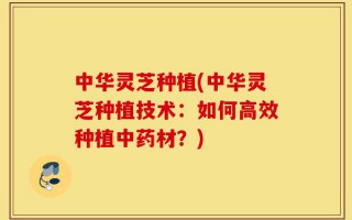 中华灵芝种植(中华灵芝种植技术：如何高效种植中药材？)