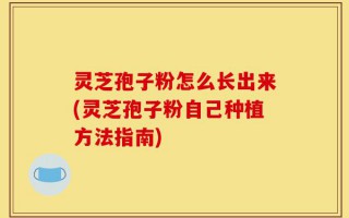 灵芝孢子粉怎么长出来(灵芝孢子粉自己种植方法指南)