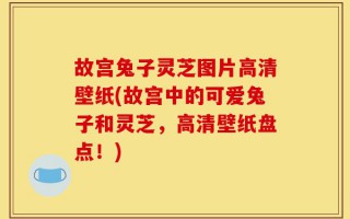 故宫兔子灵芝图片高清壁纸(故宫中的可爱兔子和灵芝，高清壁纸盘点！)