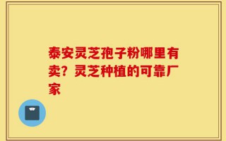 泰安灵芝孢子粉哪里有卖？灵芝种植的可靠厂家