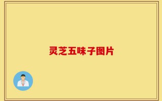 灵芝五味子图片