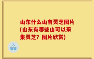 山东什么山有灵芝图片(山东有哪些山可以采集灵芝？图片欣赏)
