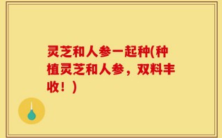 灵芝和人参一起种(种植灵芝和人参，双料丰收！)