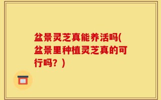 盆景灵芝真能养活吗(盆景里种植灵芝真的可行吗？)