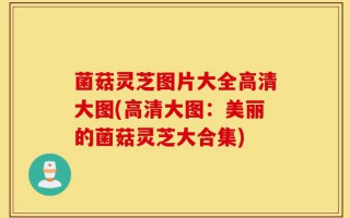 菌菇灵芝图片大全高清大图(高清大图：美丽的菌菇灵芝大合集)