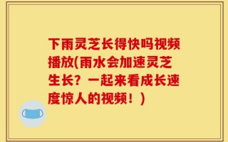下雨灵芝长得快吗视频播放(雨水会加速灵芝生长？一起来看成长速度惊人的视频！)