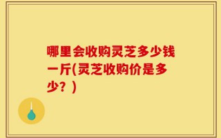 哪里会收购灵芝多少钱一斤(灵芝收购价是多少？)