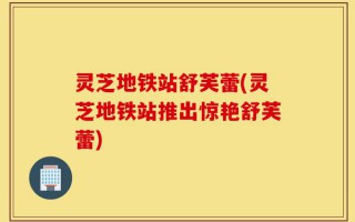 灵芝地铁站舒芙蕾(灵芝地铁站推出惊艳舒芙蕾)