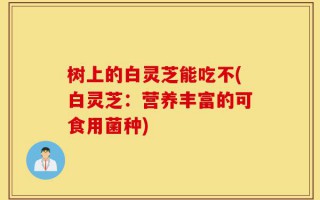 树上的白灵芝能吃不(白灵芝：营养丰富的可食用菌种)