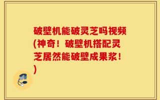 破壁机能破灵芝吗视频(神奇！破壁机搭配灵芝居然能破壁成果浆！)