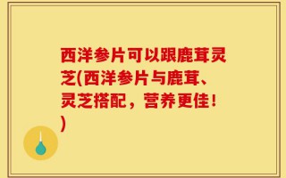 西洋参片可以跟鹿茸灵芝(西洋参片与鹿茸、灵芝搭配，营养更佳！)