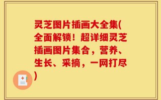 灵芝图片插画大全集(全面解锁！超详细灵芝插画图片集合，营养、生长、采摘，一网打尽)