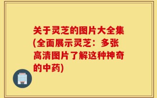 关于灵芝的图片大全集(全面展示灵芝：多张高清图片了解这种神奇的中药)