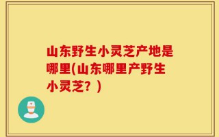 山东野生小灵芝产地是哪里(山东哪里产野生小灵芝？)