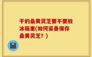 干的桑黄灵芝要不要放冰箱里(如何妥善保存桑黄灵芝？)