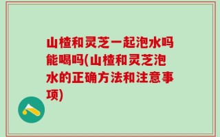 山楂和灵芝一起泡水吗能喝吗(山楂和灵芝泡水的正确方法和注意事项)