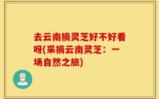 去云南摘灵芝好不好看呀(采摘云南灵芝：一场自然之旅)