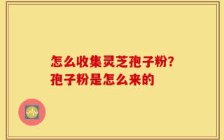 怎么收集灵芝孢子粉？孢子粉是怎么来的