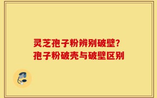 灵芝孢子粉辨别破壁？孢子粉破壳与破壁区别