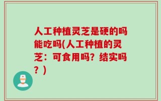 人工种植灵芝是硬的吗能吃吗(人工种植的灵芝：可食用吗？结实吗？)