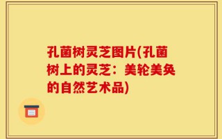 孔菌树灵芝图片(孔菌树上的灵芝：美轮美奂的自然艺术品)