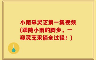 小雨采灵芝第一集视频(跟随小雨的脚步，一窥灵芝采摘全过程！)