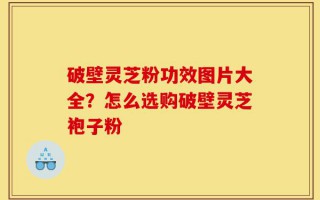 破壁灵芝粉功效图片大全？怎么选购破壁灵芝袍子粉