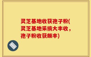 灵芝基地收获孢子粉(灵芝基地采摘大丰收，孢子粉收获颇丰)