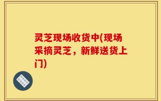 灵芝现场收货中(现场采摘灵芝，新鲜送货上门)