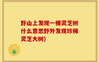 野山上发现一棵灵芝树什么意思野外发现珍稀灵芝大树)