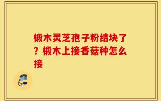 椴木灵芝孢子粉结块了？椴木上接香菇种怎么接