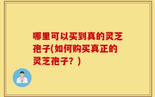 哪里可以买到真的灵芝孢子(如何购买真正的灵芝孢子？)