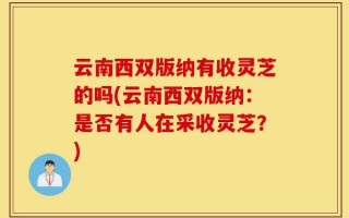云南西双版纳有收灵芝的吗(云南西双版纳：是否有人在采收灵芝？)