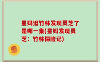 星妈逛竹林发现灵芝了是哪一集(星妈发现灵芝：竹林探险记)