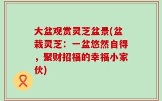 大盆观赏灵芝盆景(盆栽灵芝：一盆悠然自得，聚财招福的幸福小家伙)
