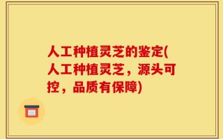 人工种植灵芝的鉴定(人工种植灵芝，源头可控，品质有保障)