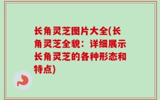 长角灵芝图片大全(长角灵芝全貌：详细展示长角灵芝的各种形态和特点)