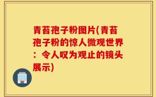 青苔孢子粉图片(青苔孢子粉的惊人微观世界：令人叹为观止的镜头展示)