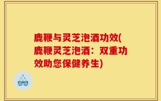 鹿鞭与灵芝泡酒功效(鹿鞭灵芝泡酒：双重功效助您保健养生)