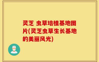 灵芝 虫草培植基地图片(灵芝虫草生长基地的美丽风光)