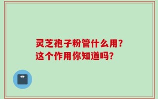 灵芝孢子粉管什么用？这个作用你知道吗？